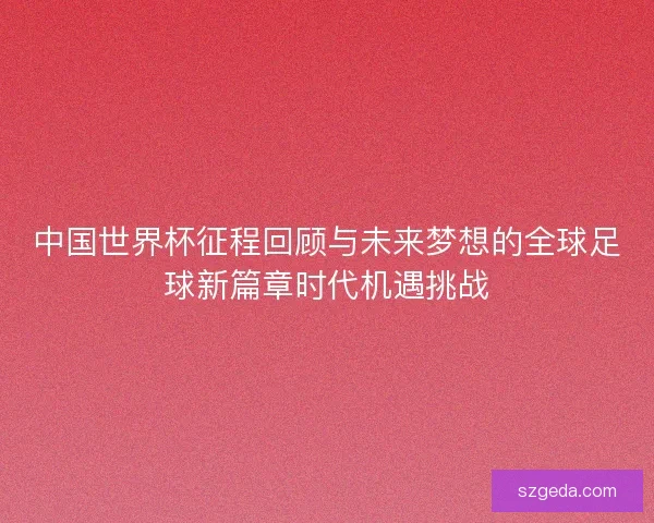 中国世界杯征程回顾与未来梦想的全球足球新篇章时代机遇挑战